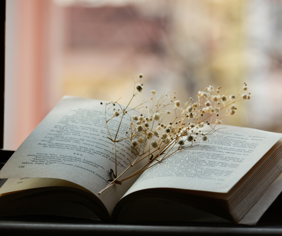 ‘Livros que Bebem da Eternidade’, poema do autor moçambicano Leonel Evaristo Chongola